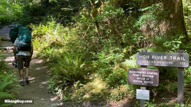 Hoh River Trail Directions 11