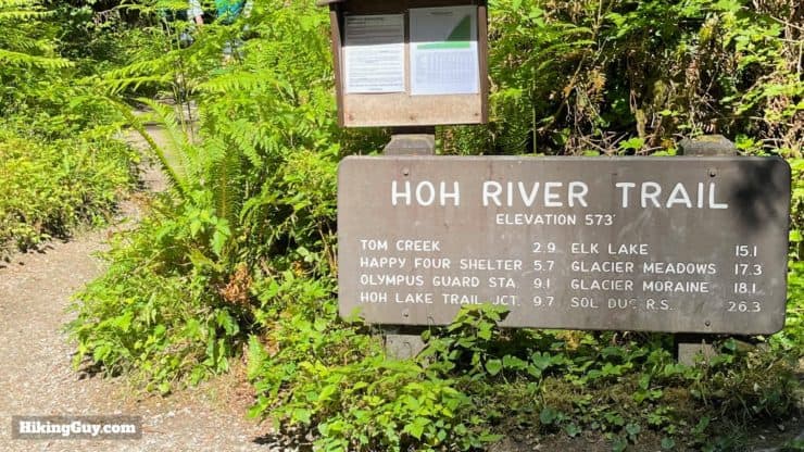 Hoh River Trail Directions 12