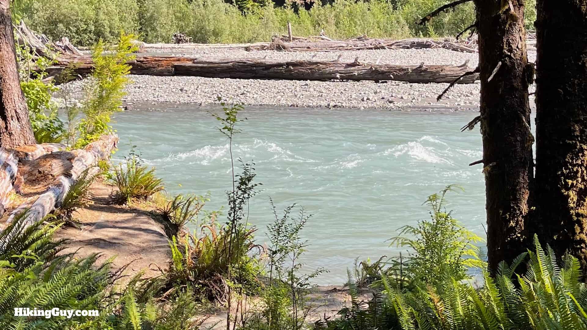Hoh River Trail Directions 16