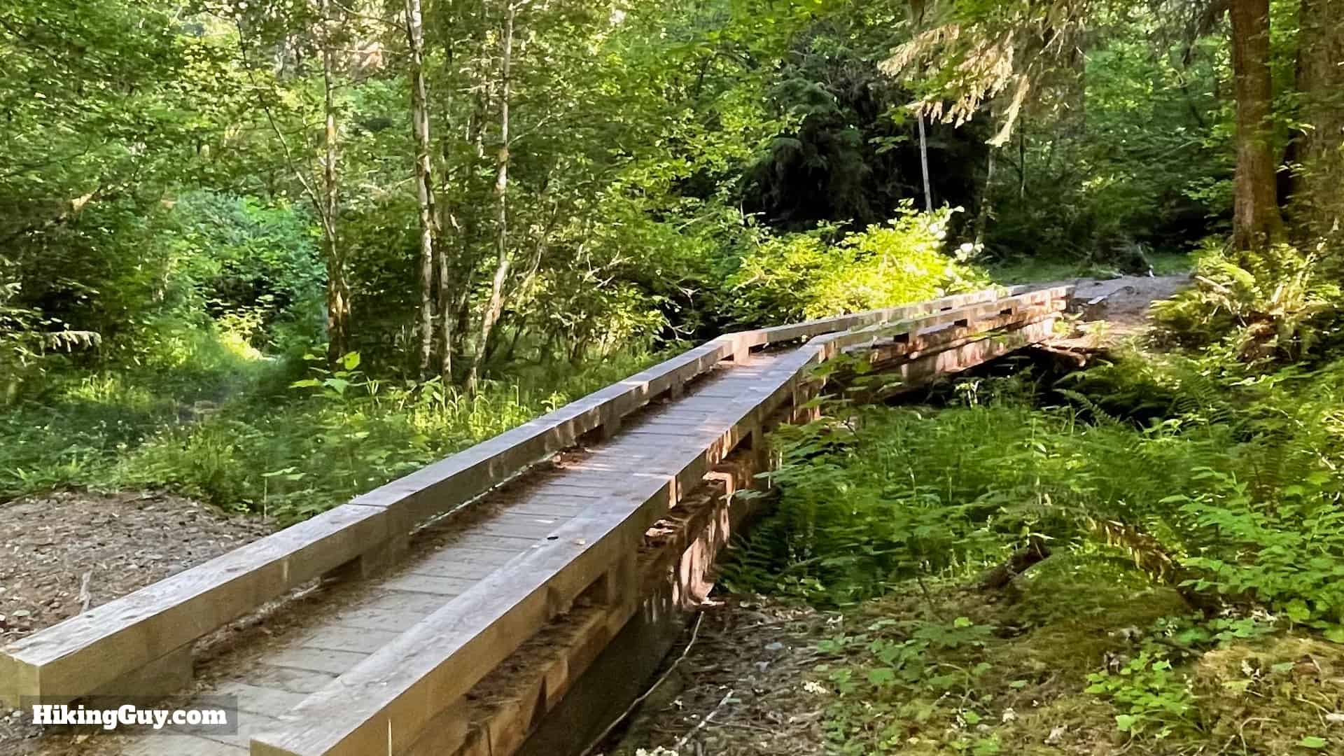 Hoh River Trail Directions 22