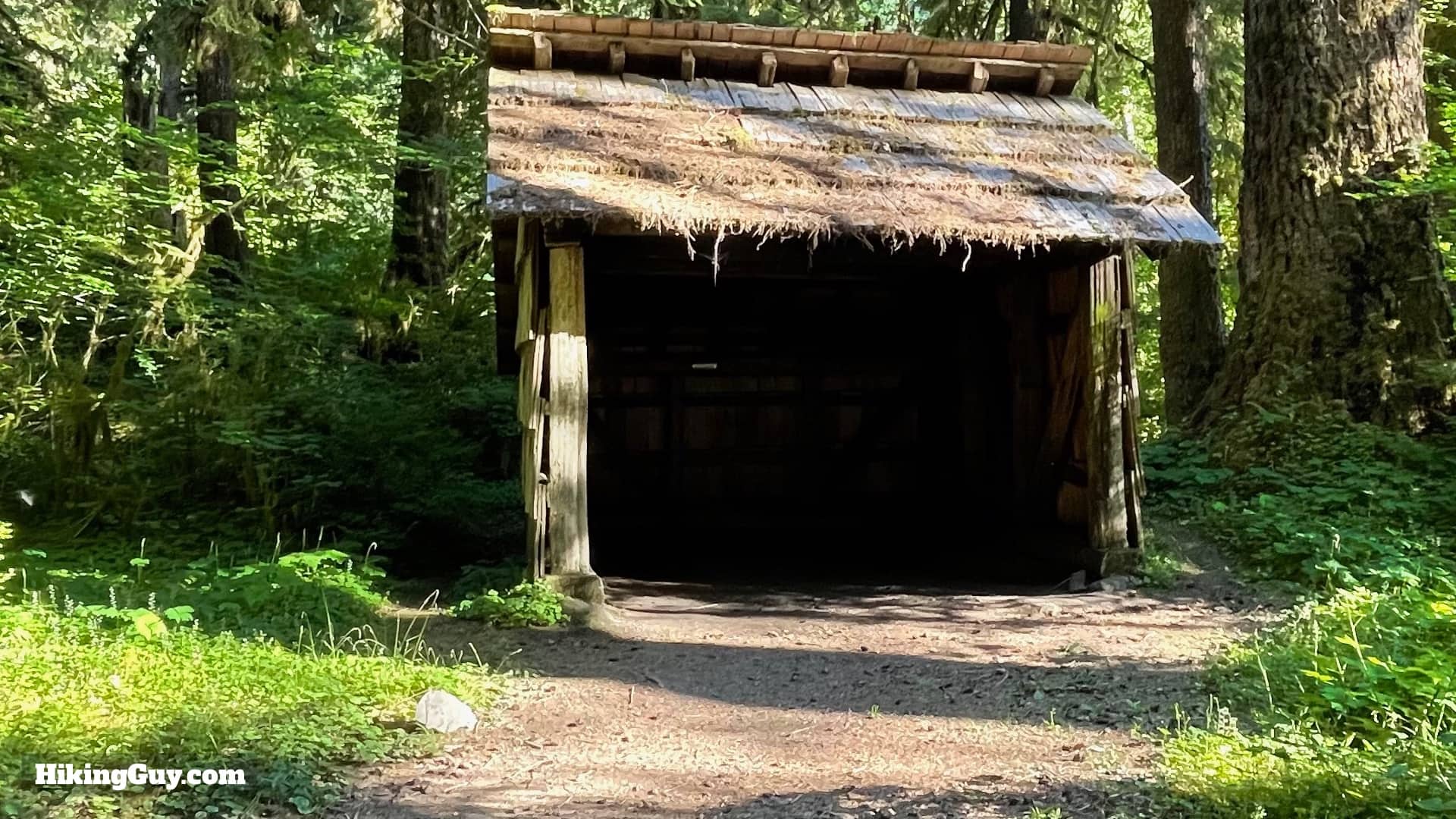 Hoh River Trail Directions 26