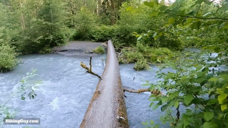 Hoh River Trail Directions 28