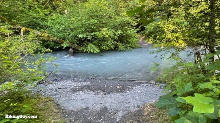 Hoh River Trail Directions 34