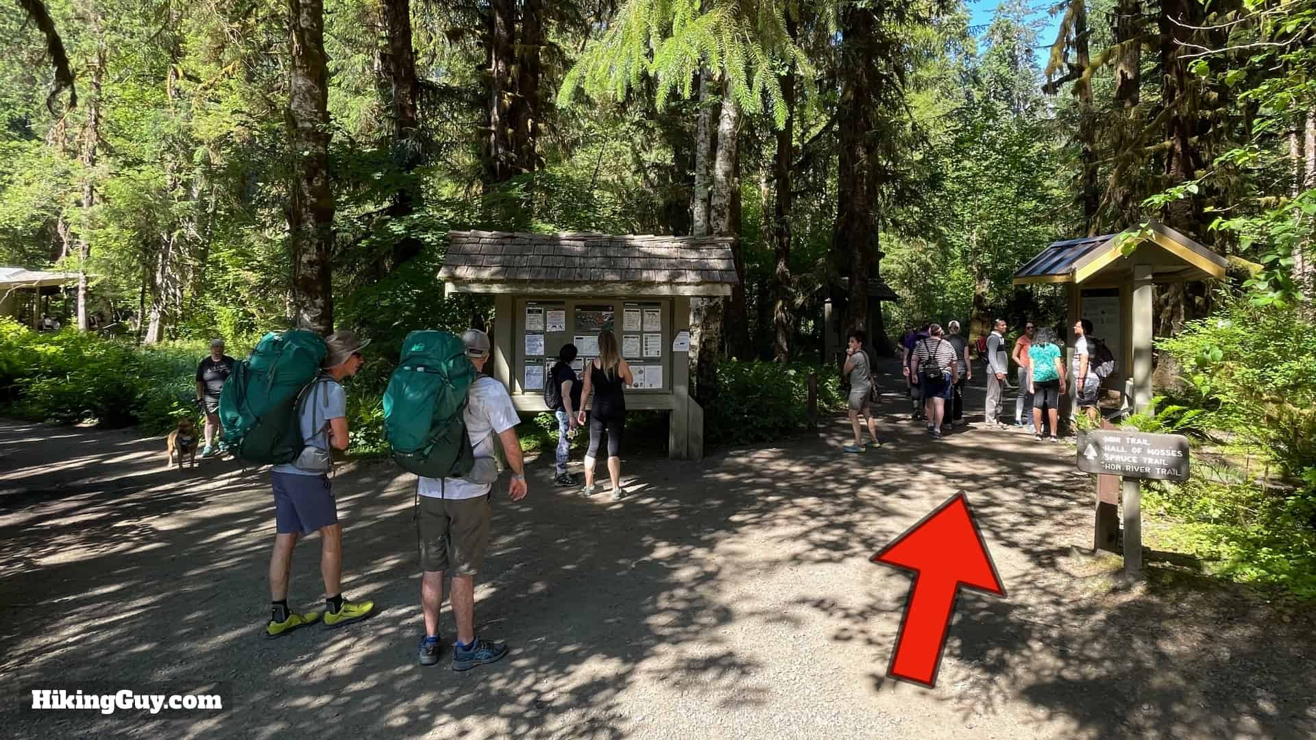 Hoh River Trail Directions 4