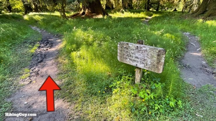 Hoh River Trail Directions 41