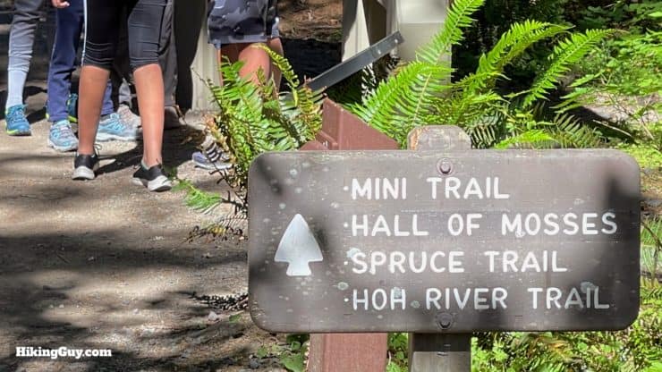 Hoh River Trail Directions 5