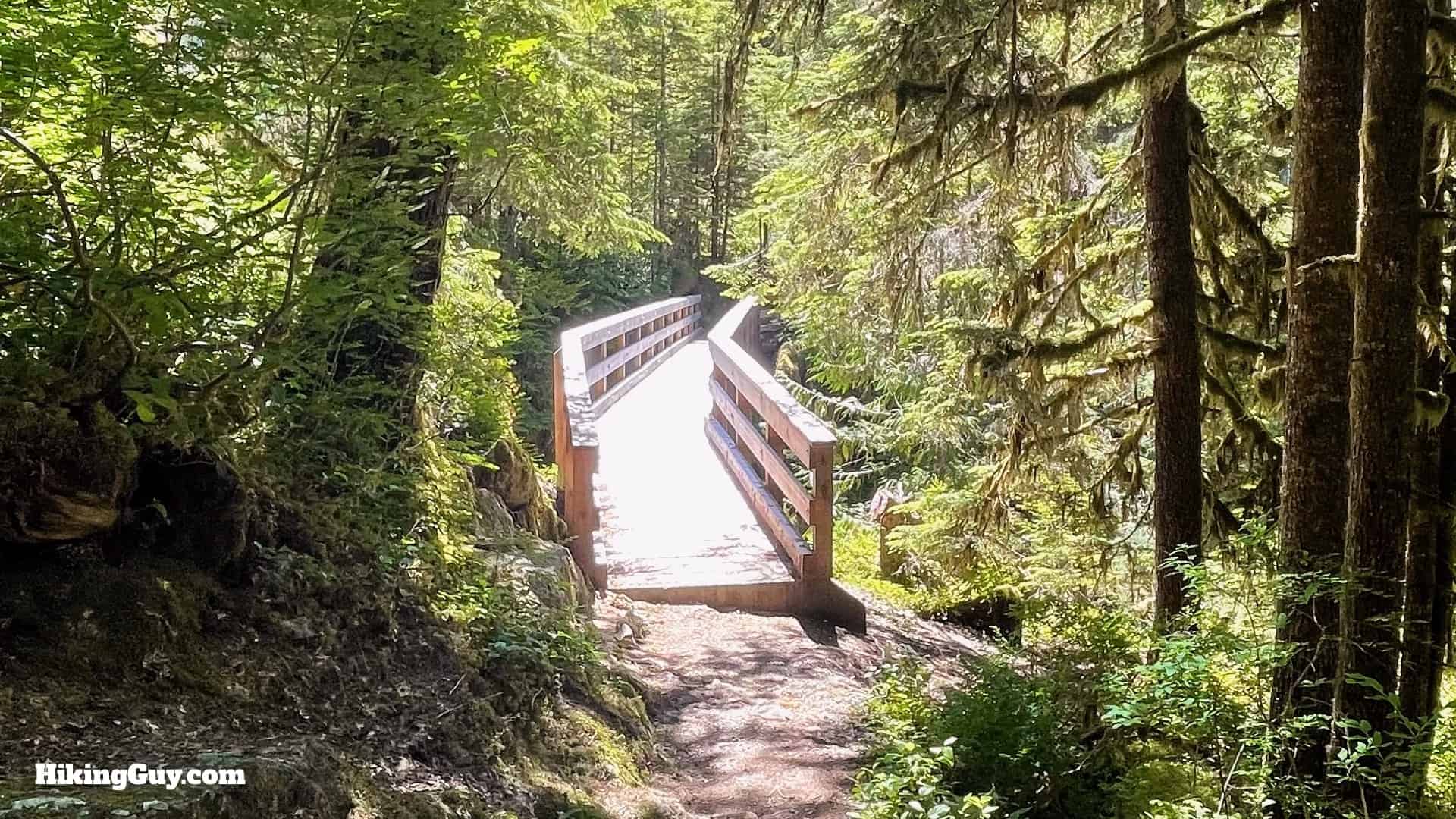 Hoh River Trail Directions 51