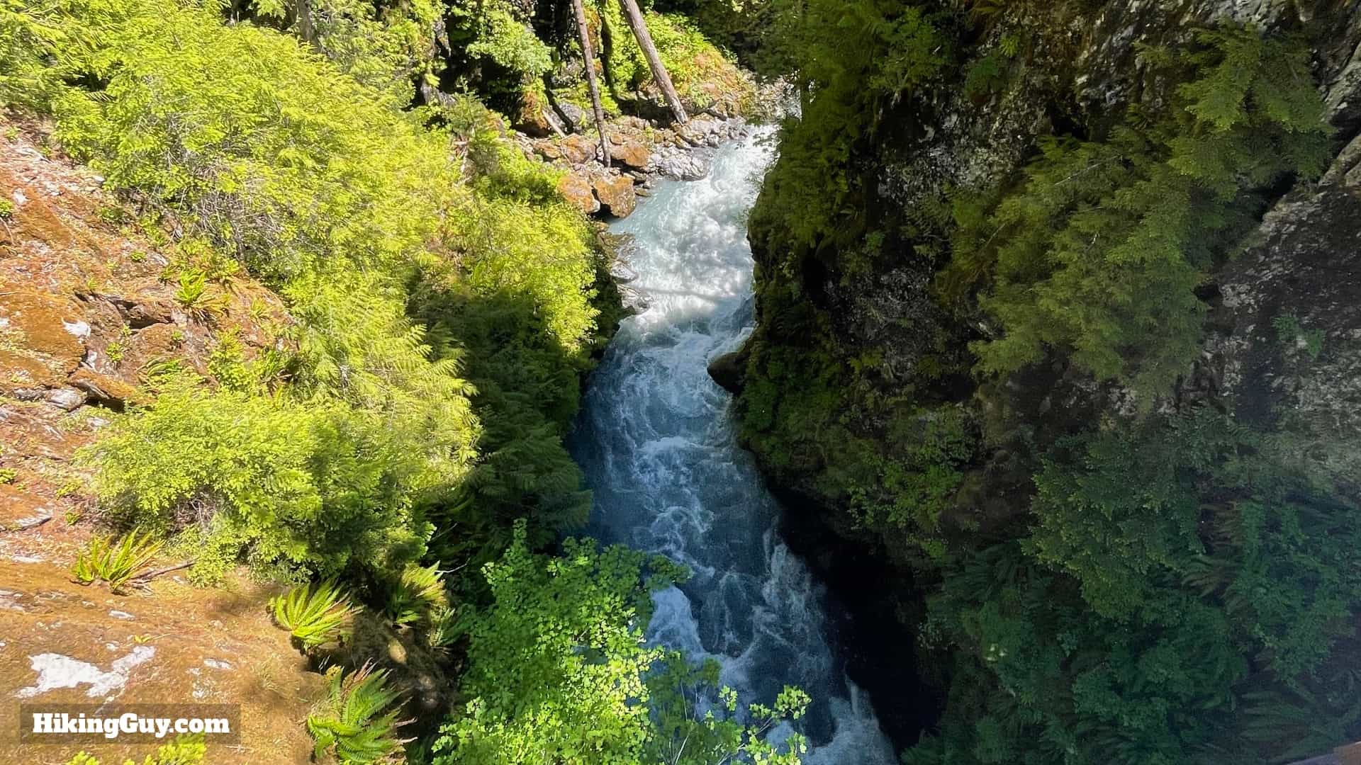 Hoh River Trail Directions 52