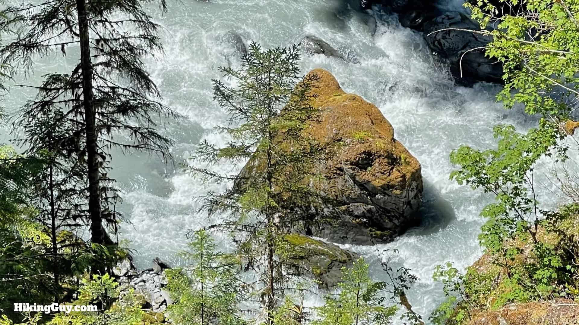 Hoh River Trail Directions 53