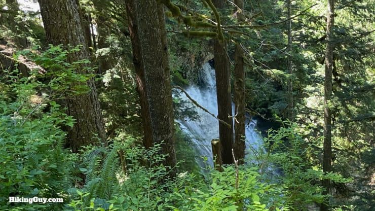 Hoh River Trail Directions 57
