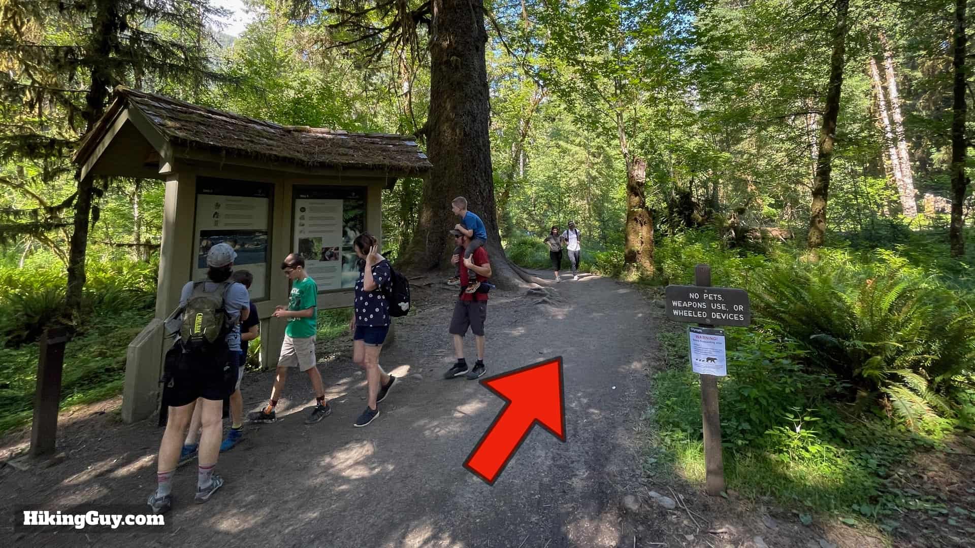 Hoh River Trail Directions 6