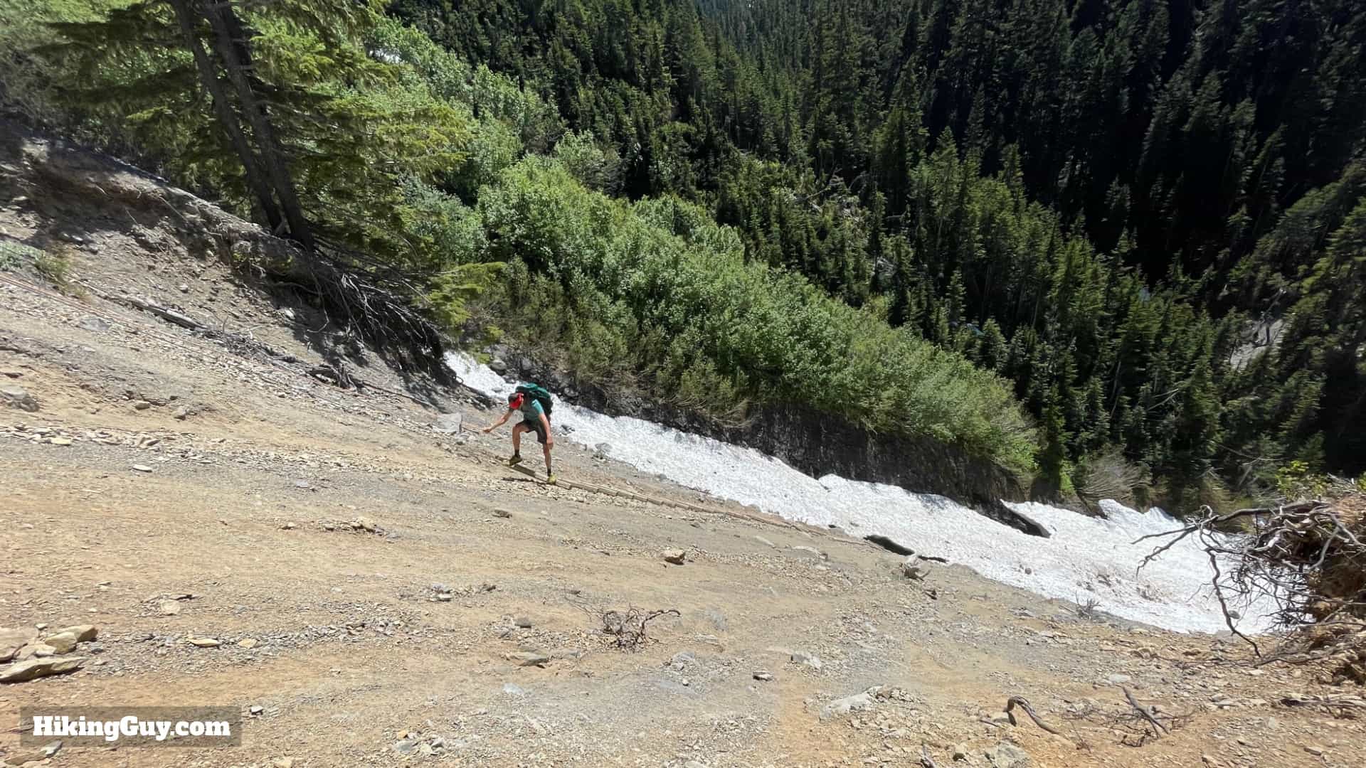 Hoh River Trail Directions 70