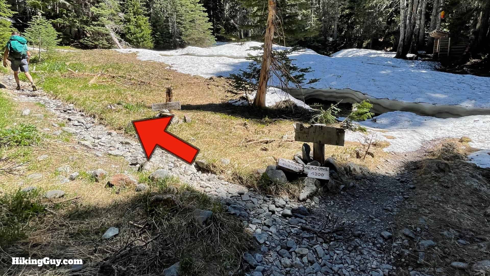 Hoh River Trail Directions 79