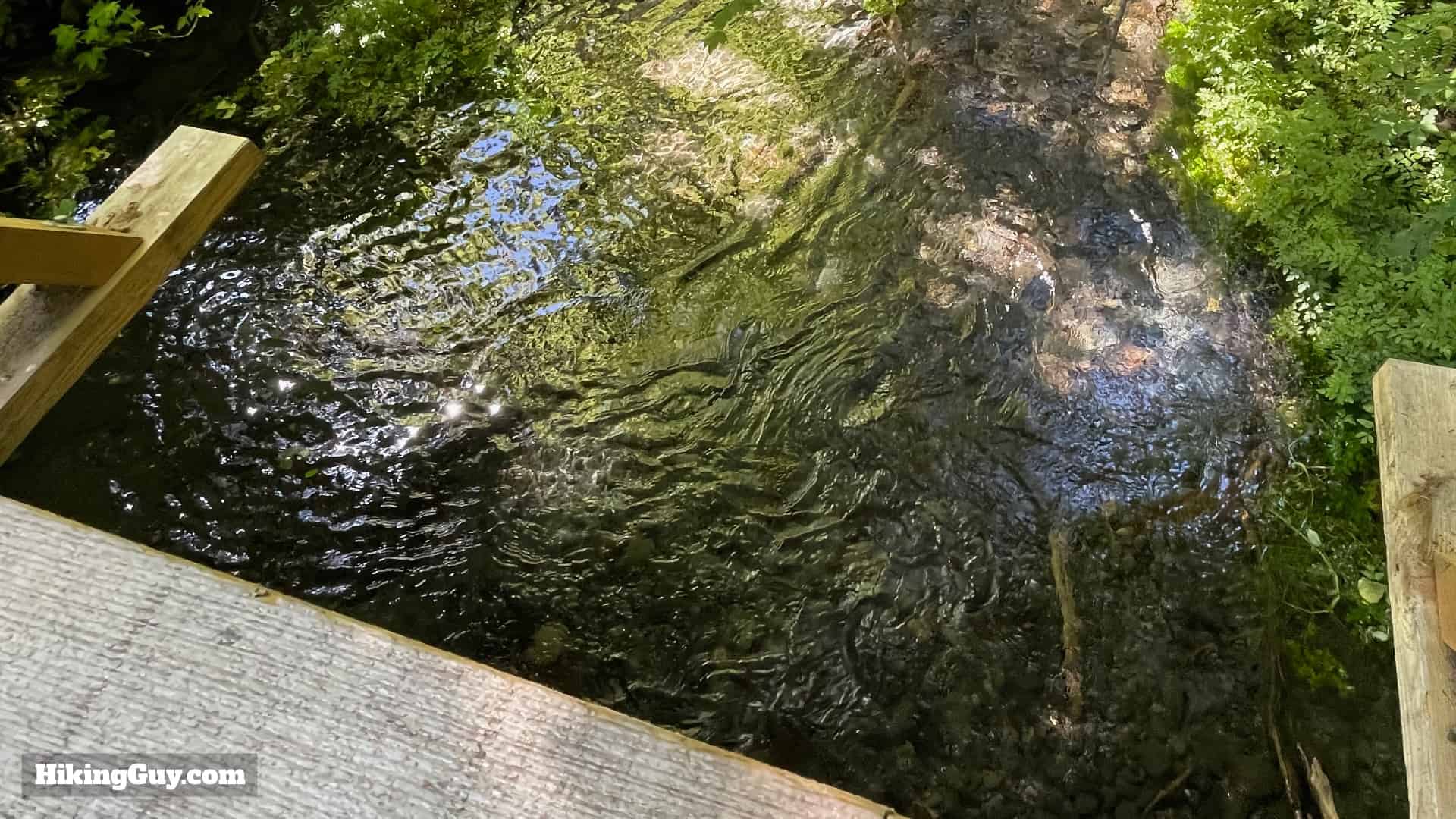 Hoh River Trail Directions 8