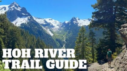 Hoh River Trail to Blue Glacier Hike Guide