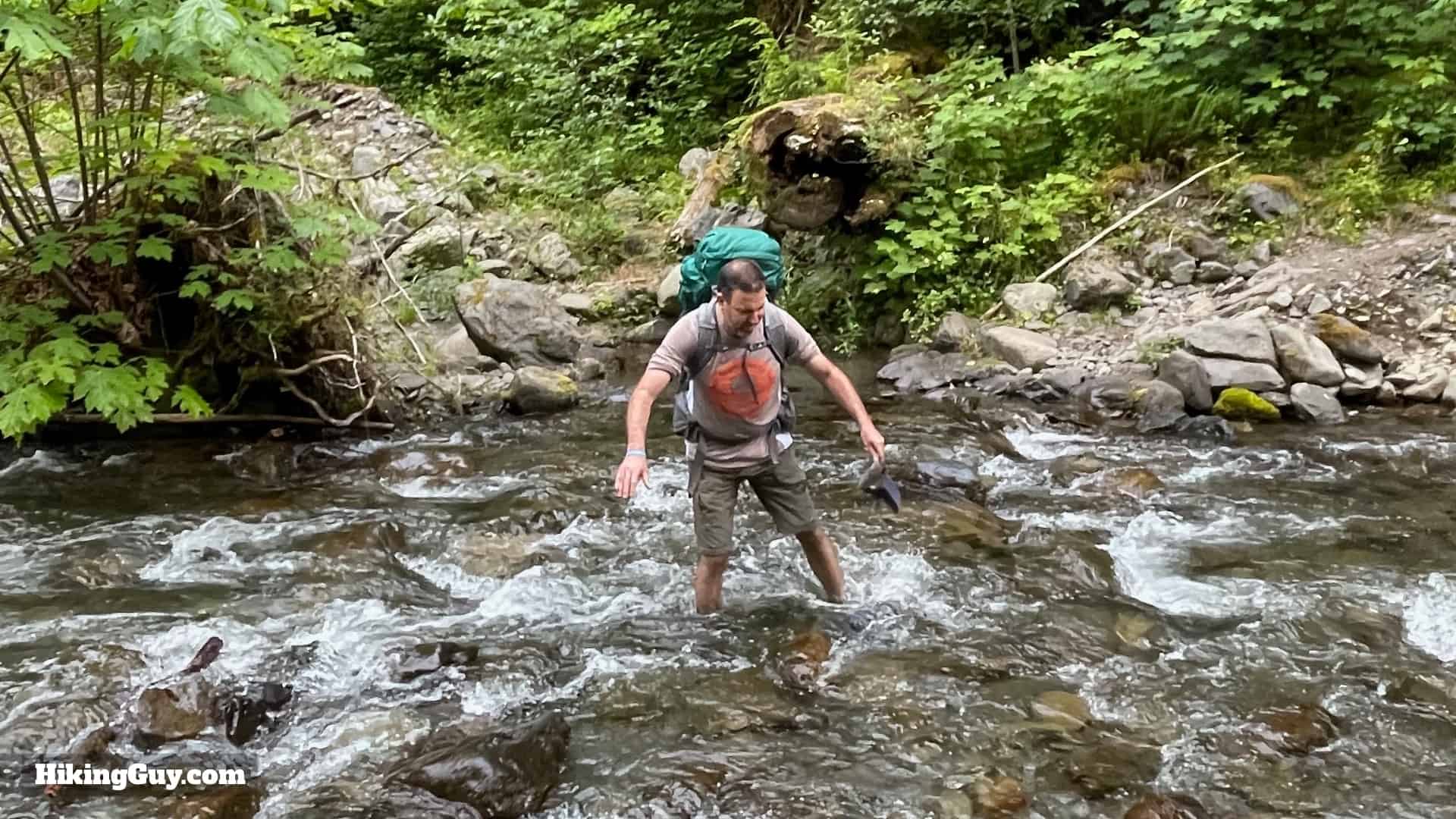 Hoh River Trail Tips 11