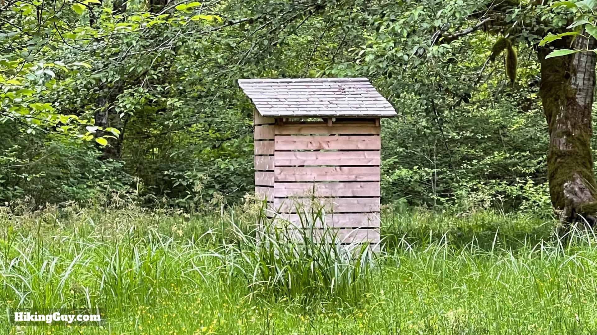 Hoh River Trail Tips 13