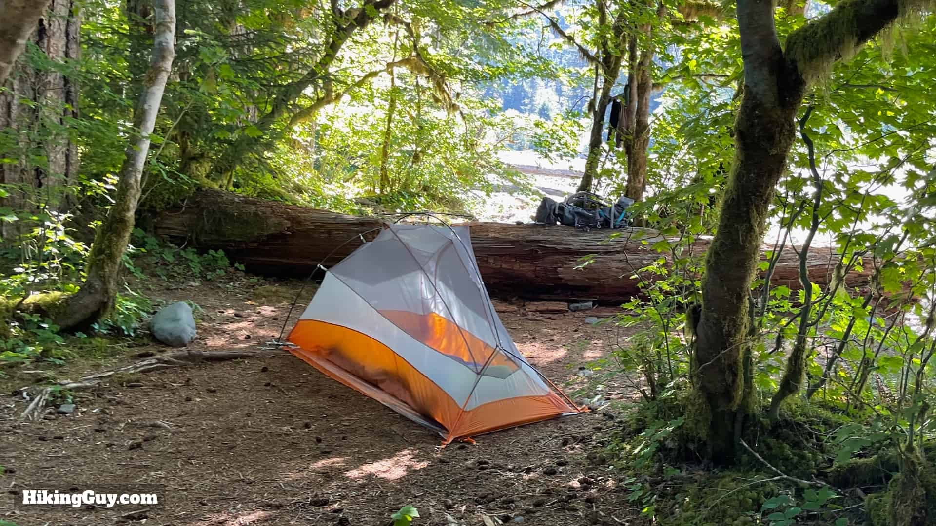 Hoh River Trail Tips 5