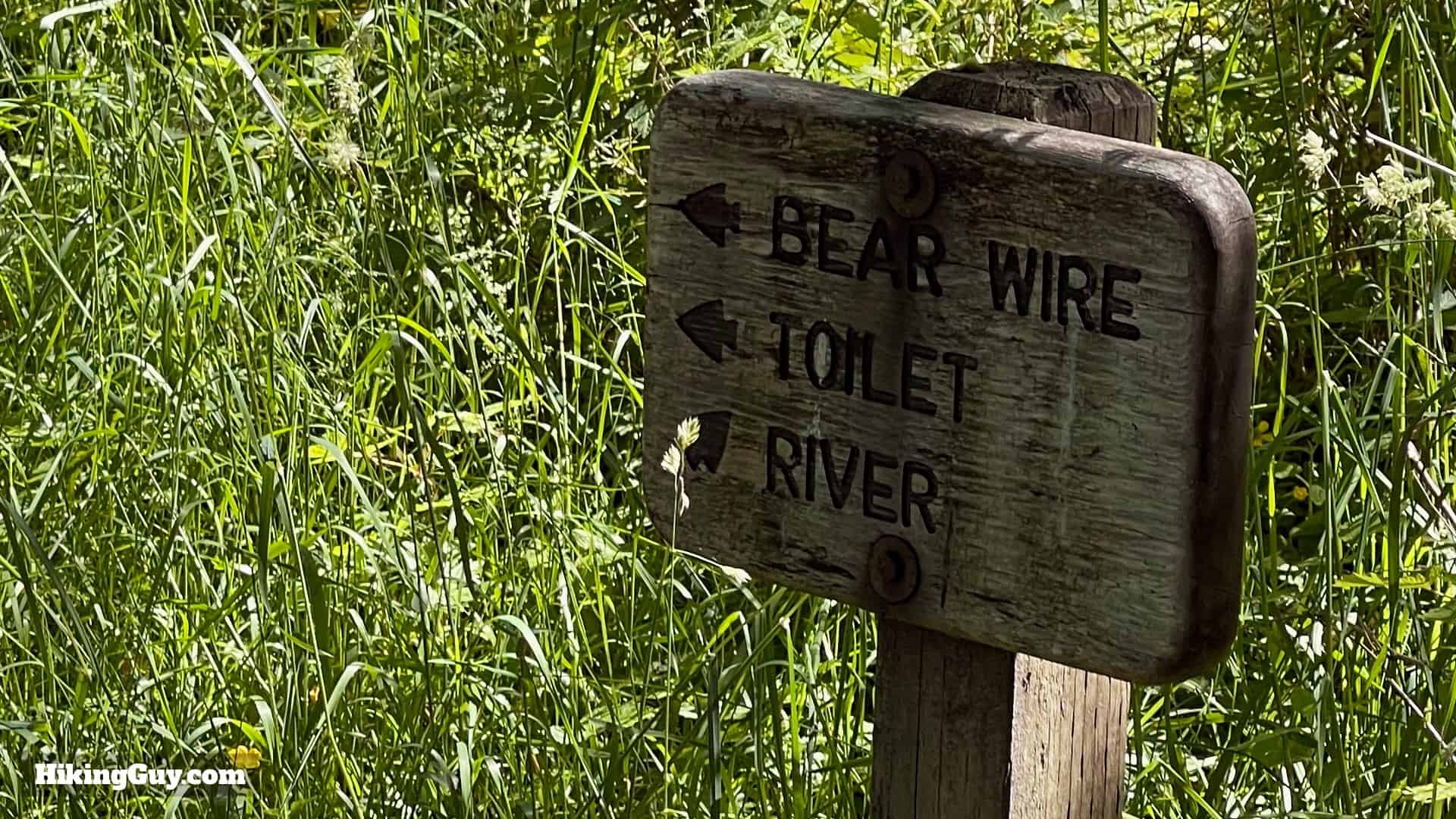 Hoh River Trail Tips 6