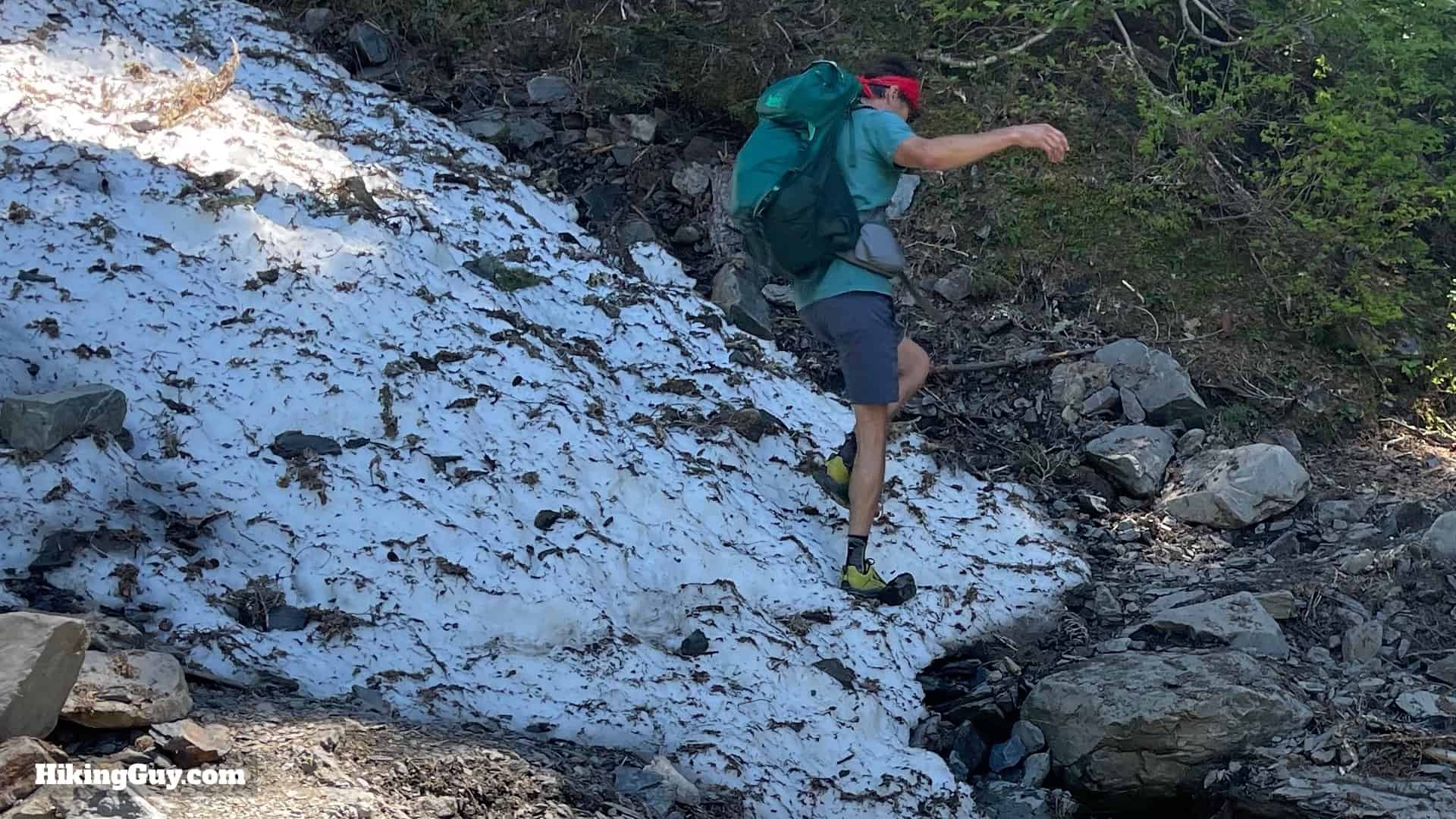 Hoh River Trail Tips 7