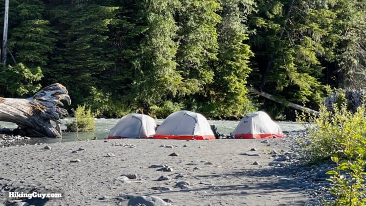 Hoh River Trail Tips 9