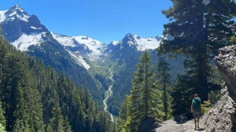 Hoh River Trail to Blue Glacier Hike Guide
