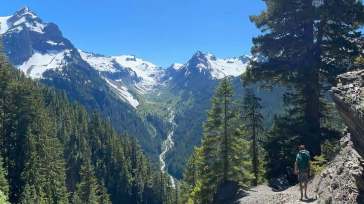 Hoh River Trail To Blue Glacier Featured