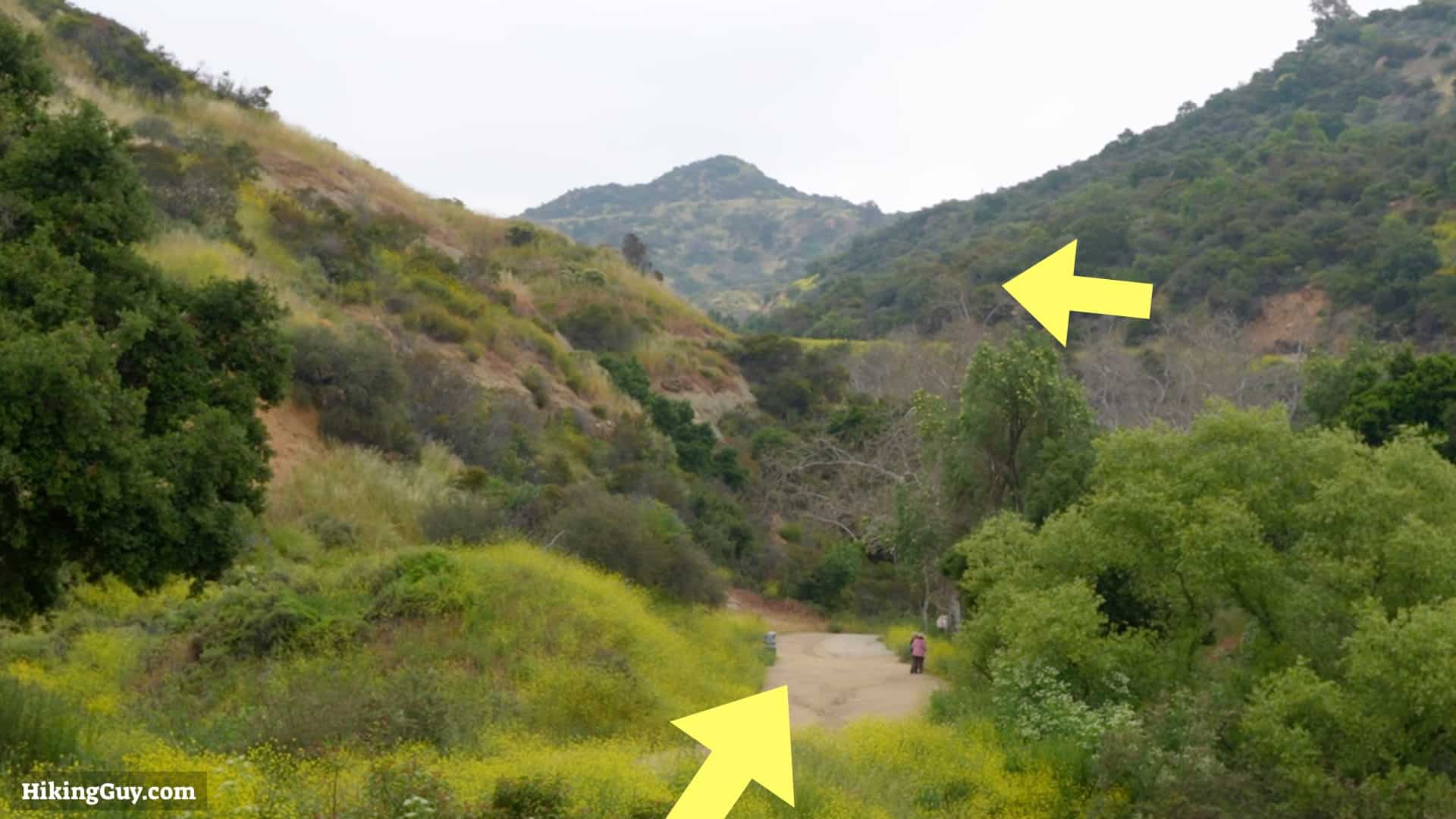 Hollywood Sign Directions 3