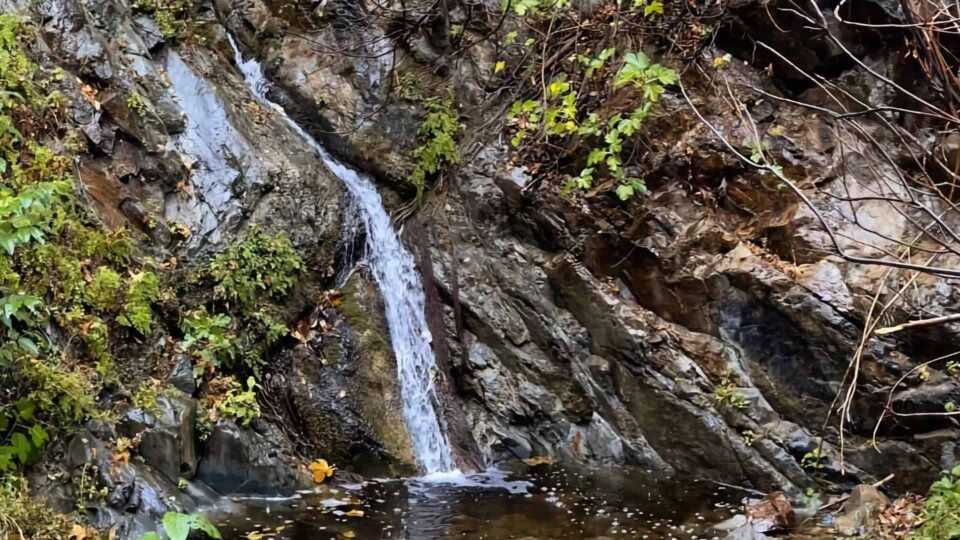 Holy Jim Canyon Falls Hike Featured