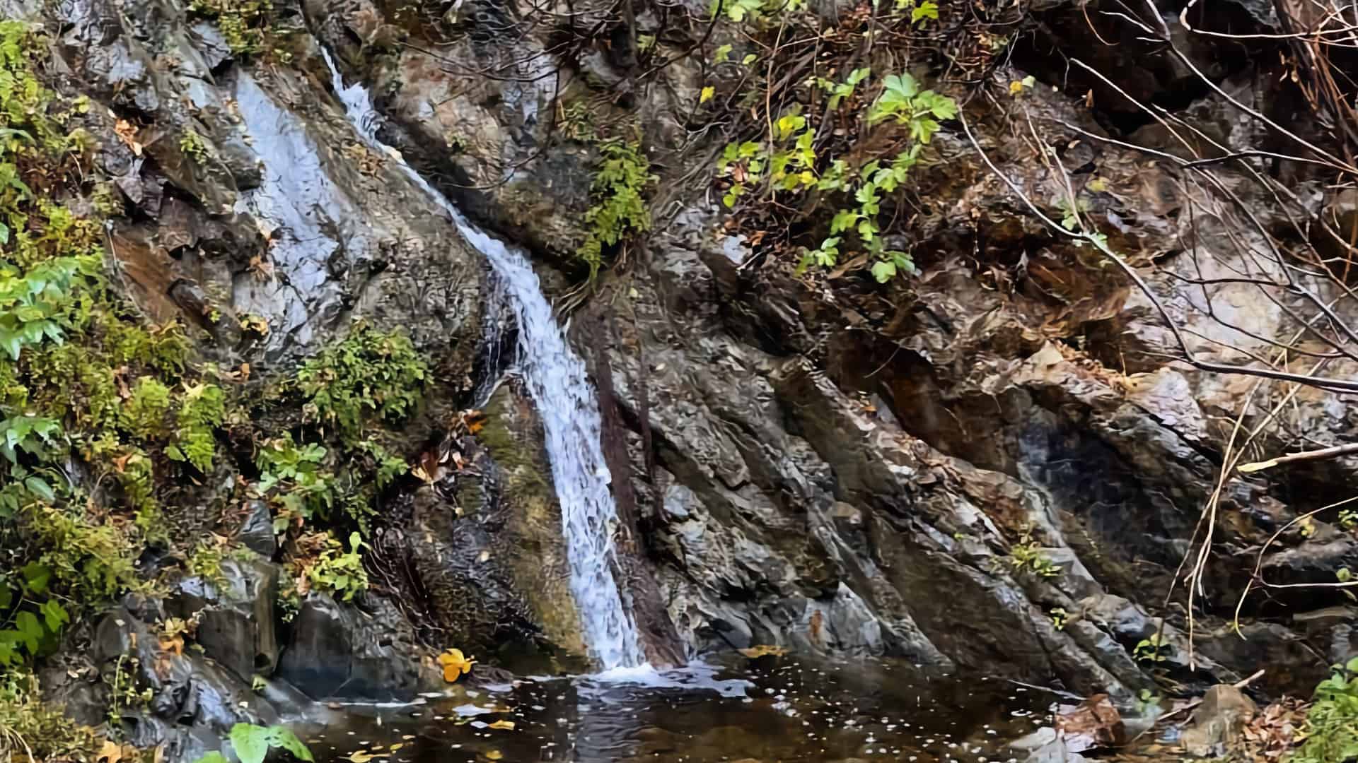 Hike Holy Jim Falls Trail