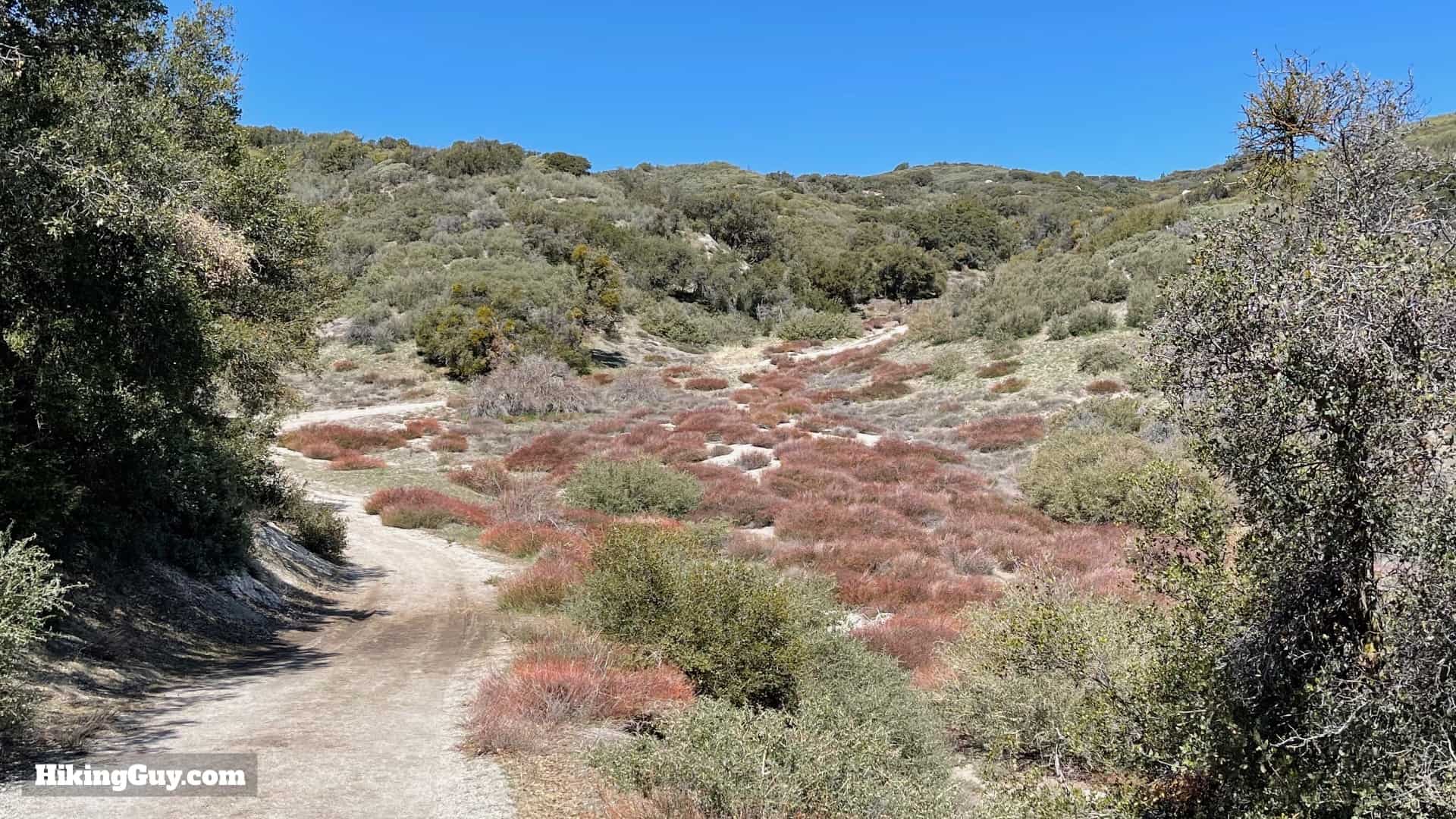 Hot Springs Mountain Trail Directions 12