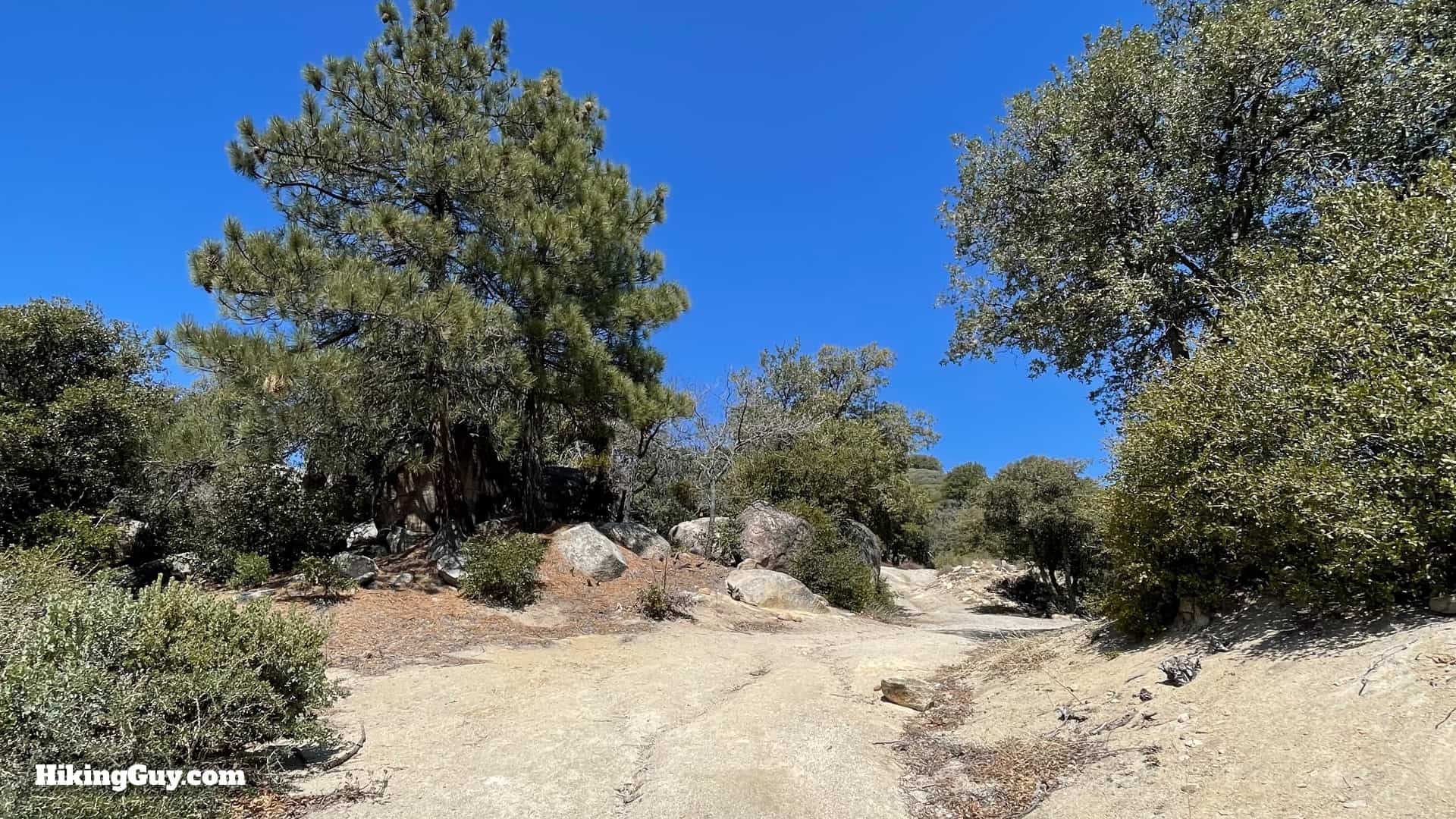 Hot Springs Mountain Trail Directions 15