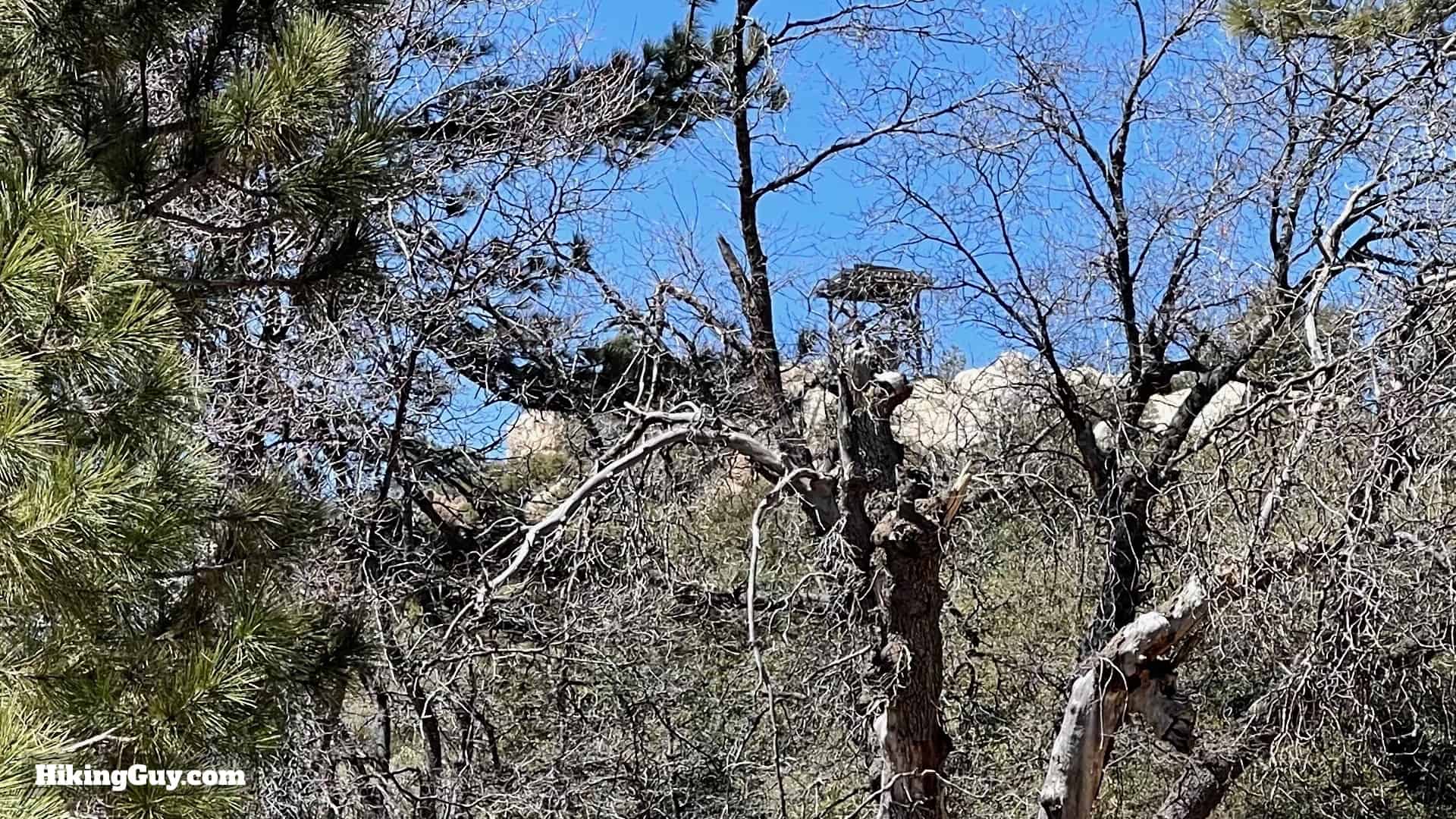 Hot Springs Mountain Trail Directions 27