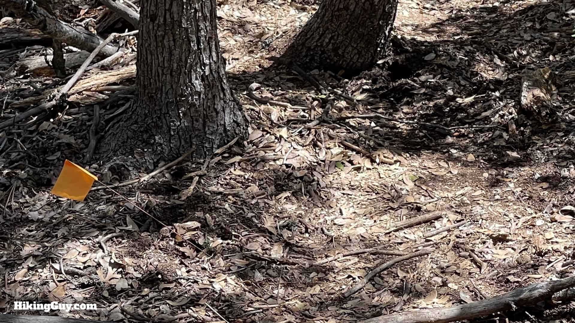 Hot Springs Mountain Trail Directions 37