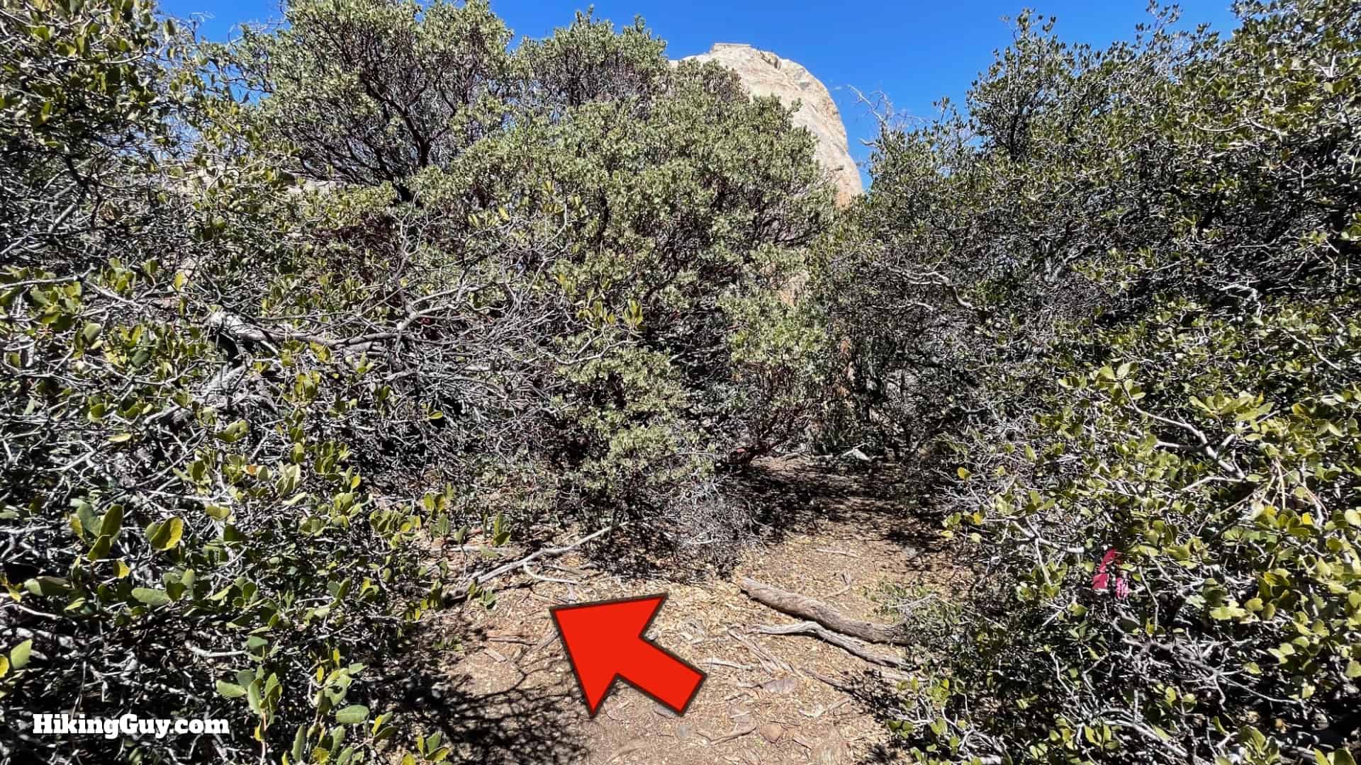 Hot Springs Mountain Trail Directions 39