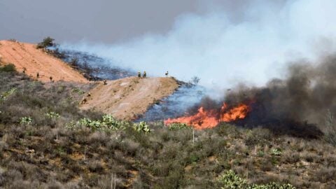 Is There a Wildfire On My Hike? Wildfire Tips for Hikers