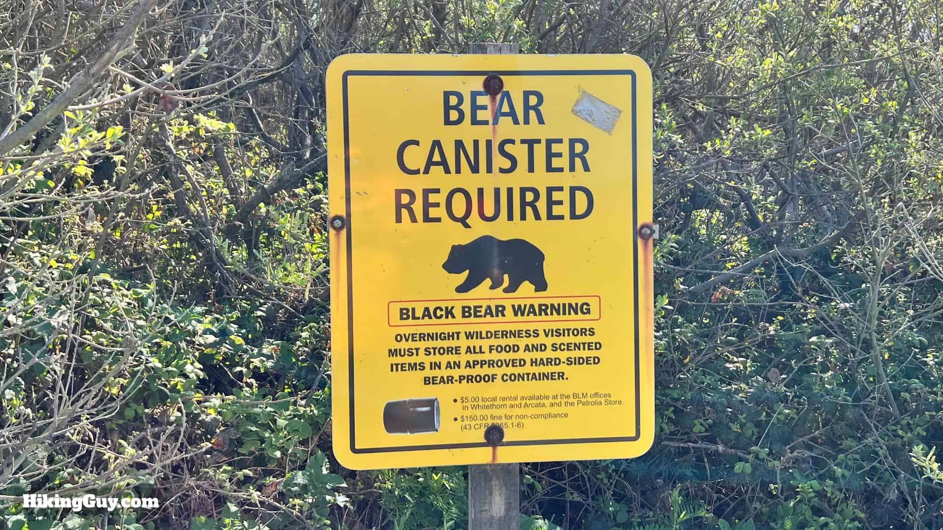 How To Hike Lost Coast Trail 20