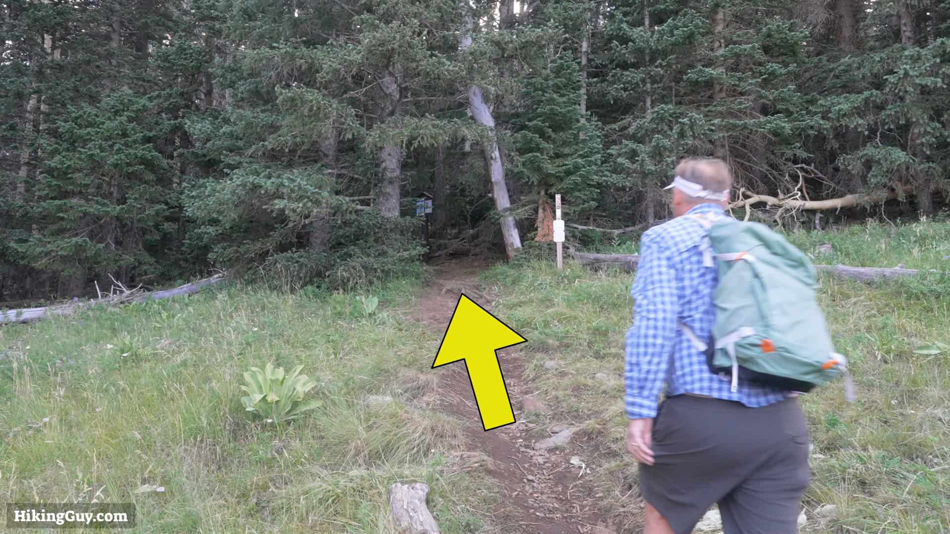 Humphreys Peak Hike Directions 5