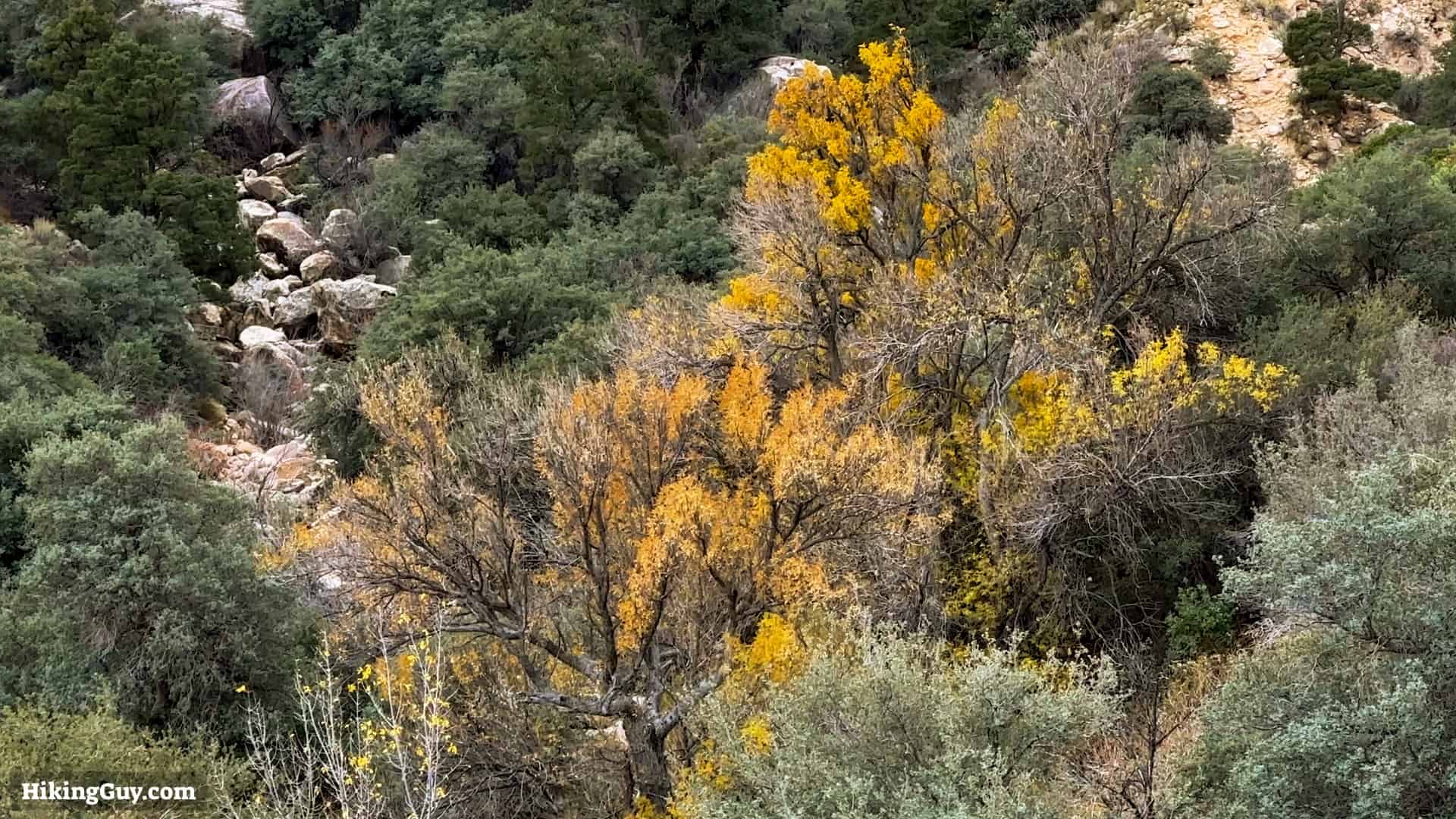 Ice Box Canyon Hike Directions 8