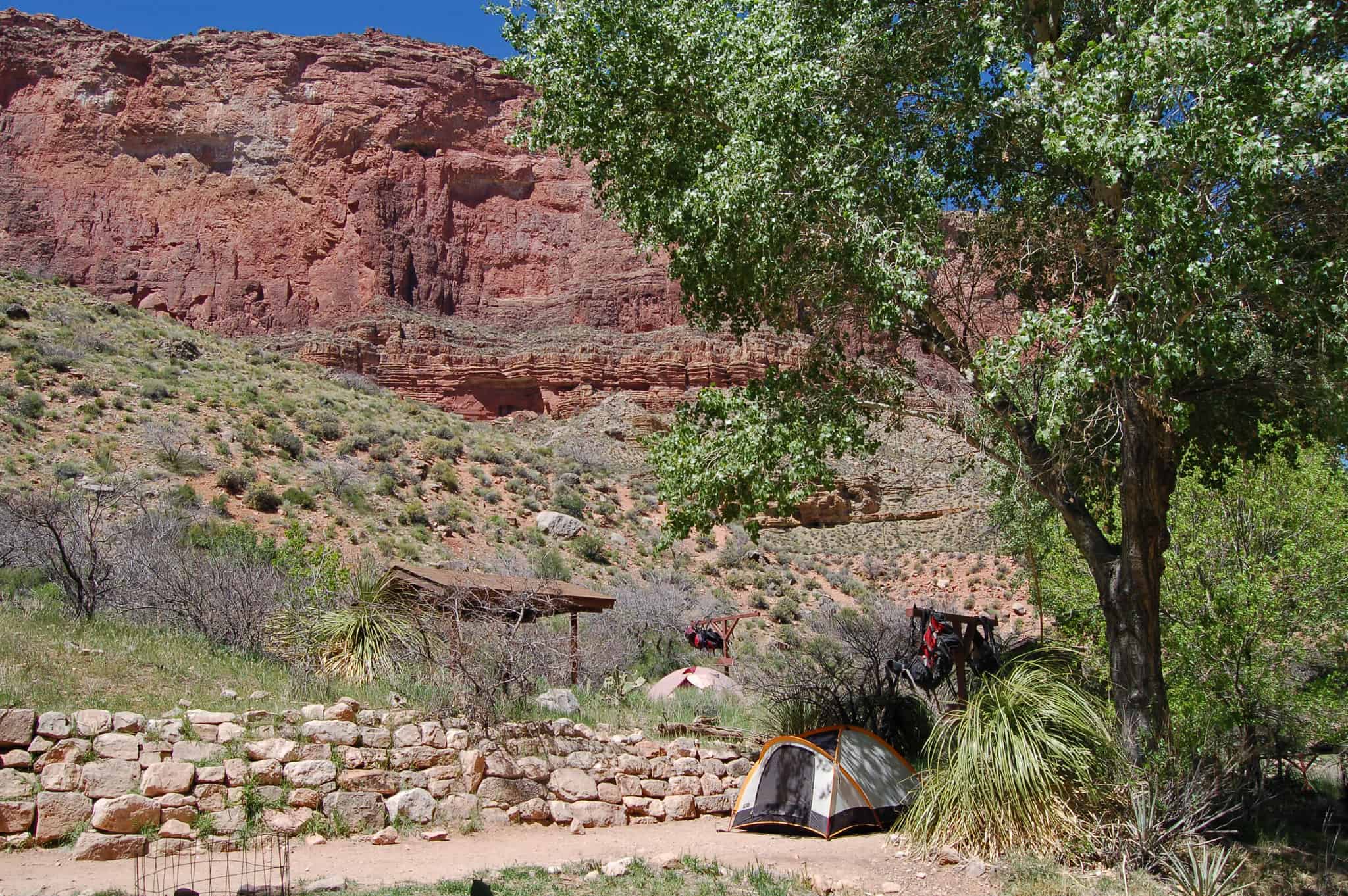 Indian Garden Campsite