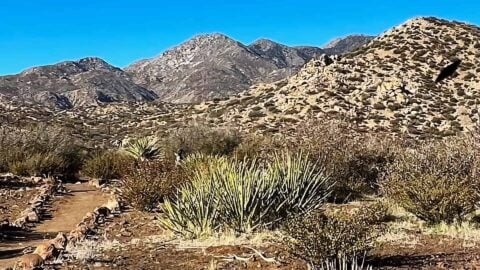 Hike Indian Loop Trail at Pioneertown Mountains Preserve