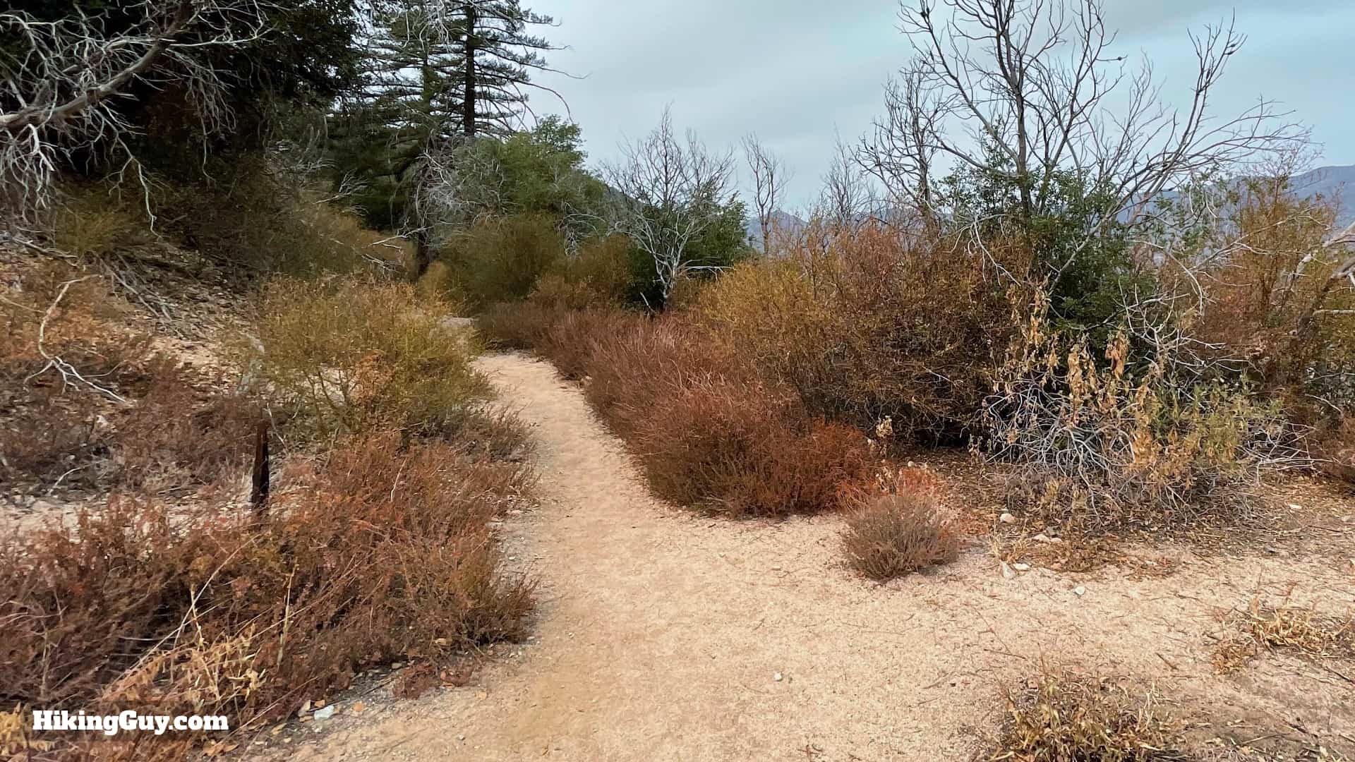 Josephine Peak Hike 16