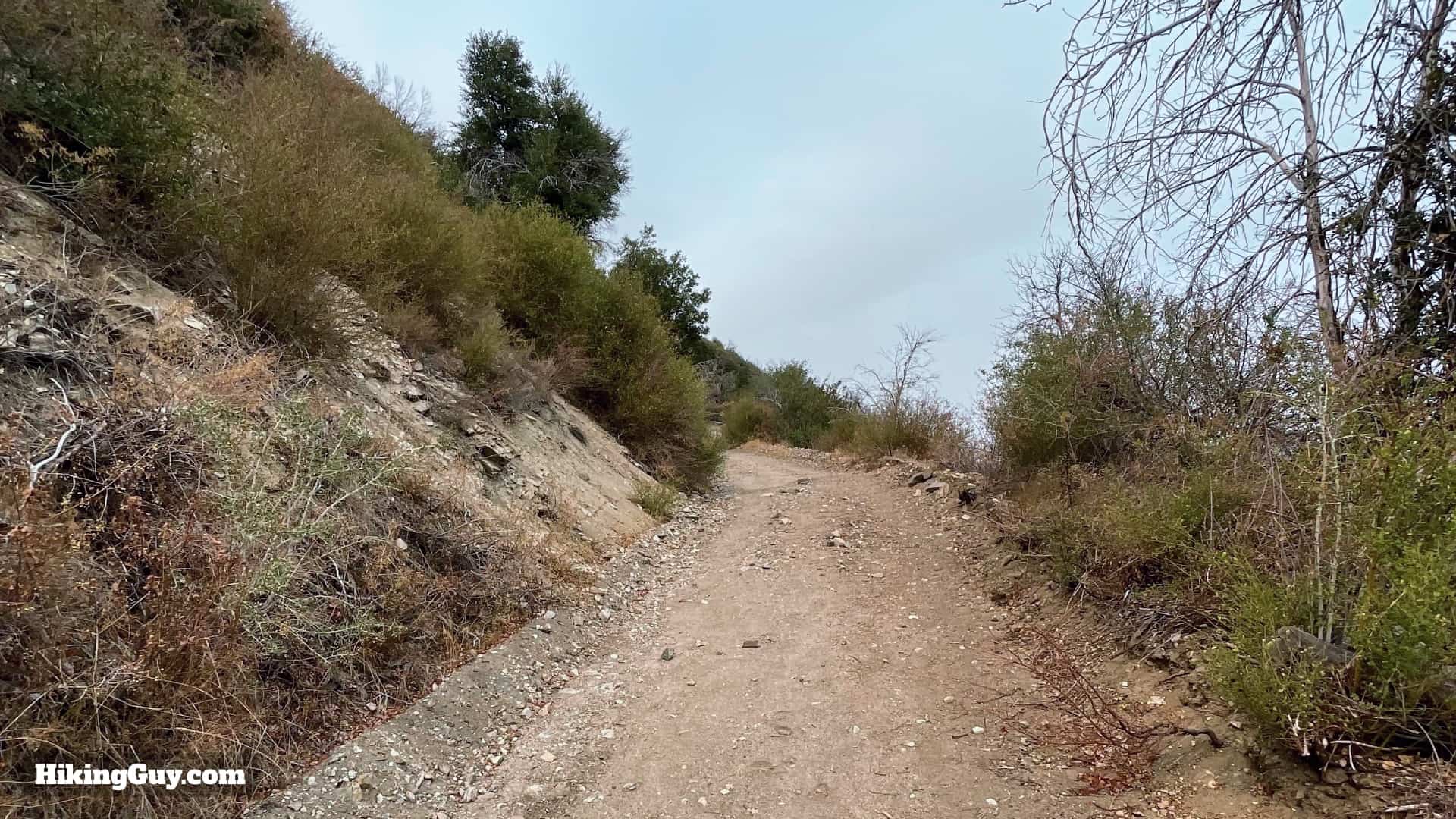 Josephine Peak Hike 23
