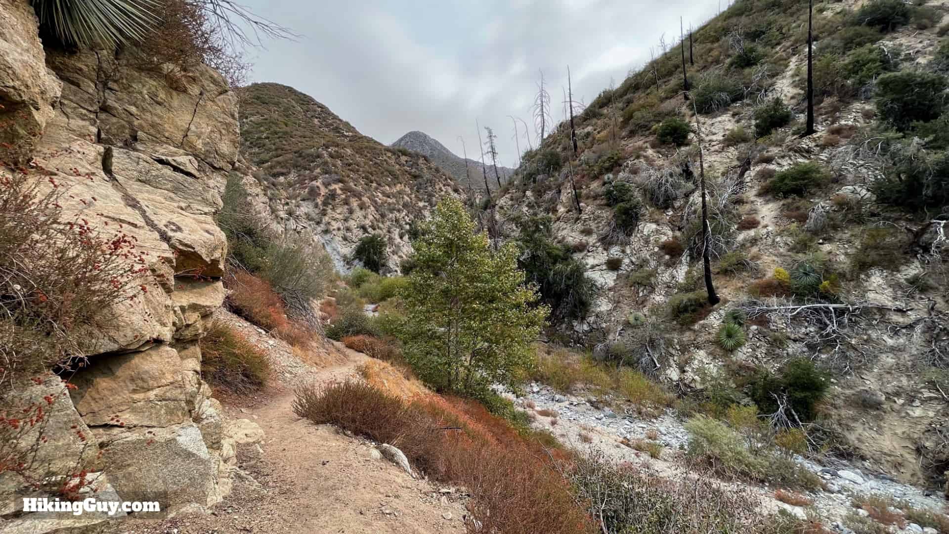 Josephine Peak Hike 5