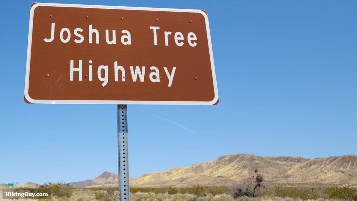 Joshua Tree Highway