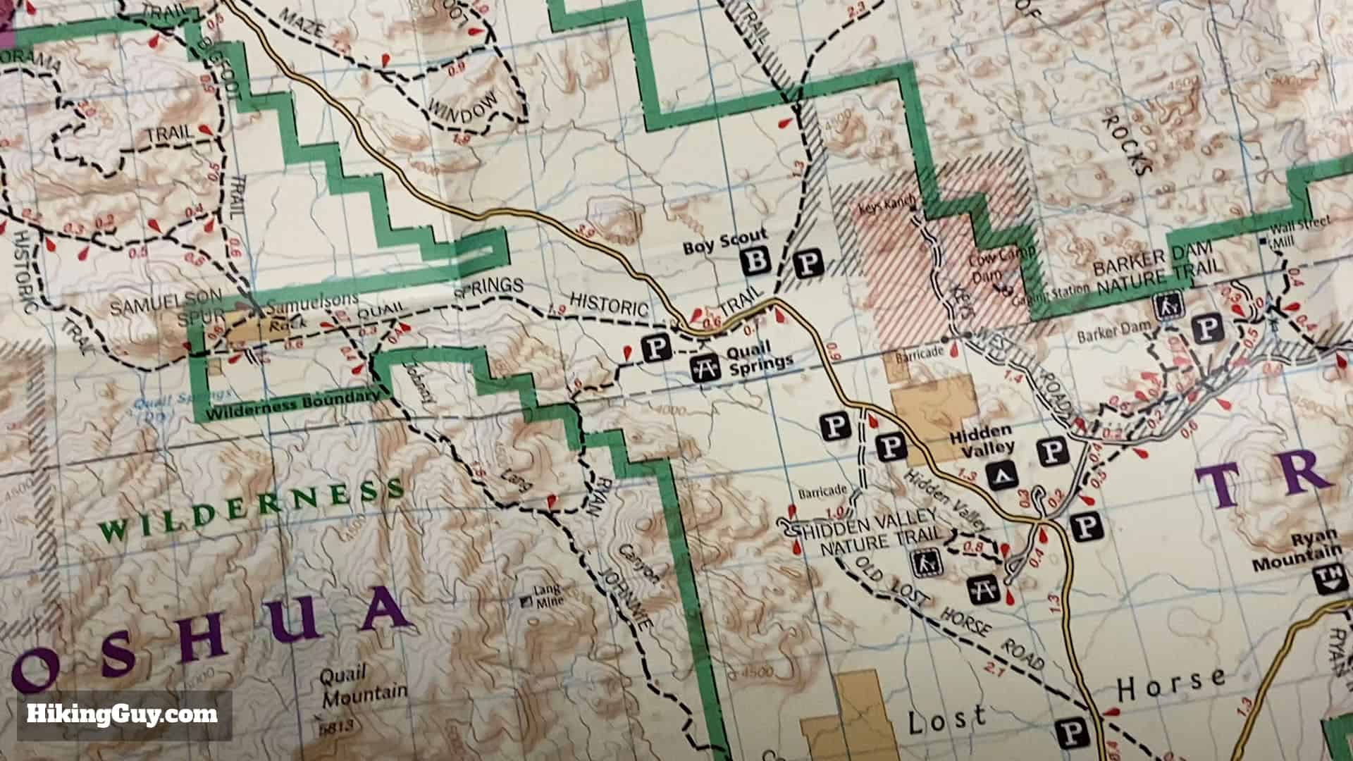 Joshua Tree Tips 3