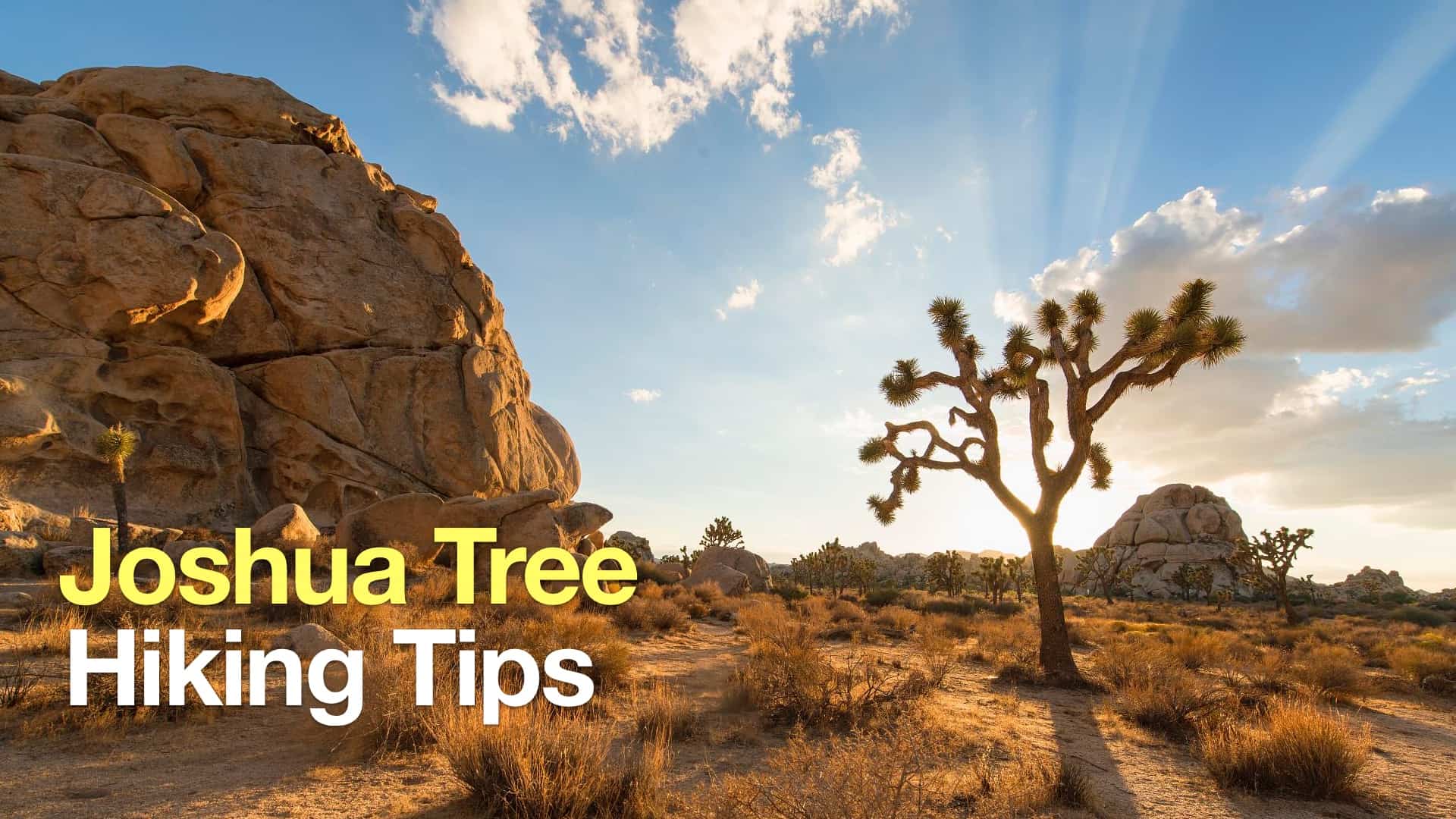 Joshua Tree Hiking Tips HikingGuy