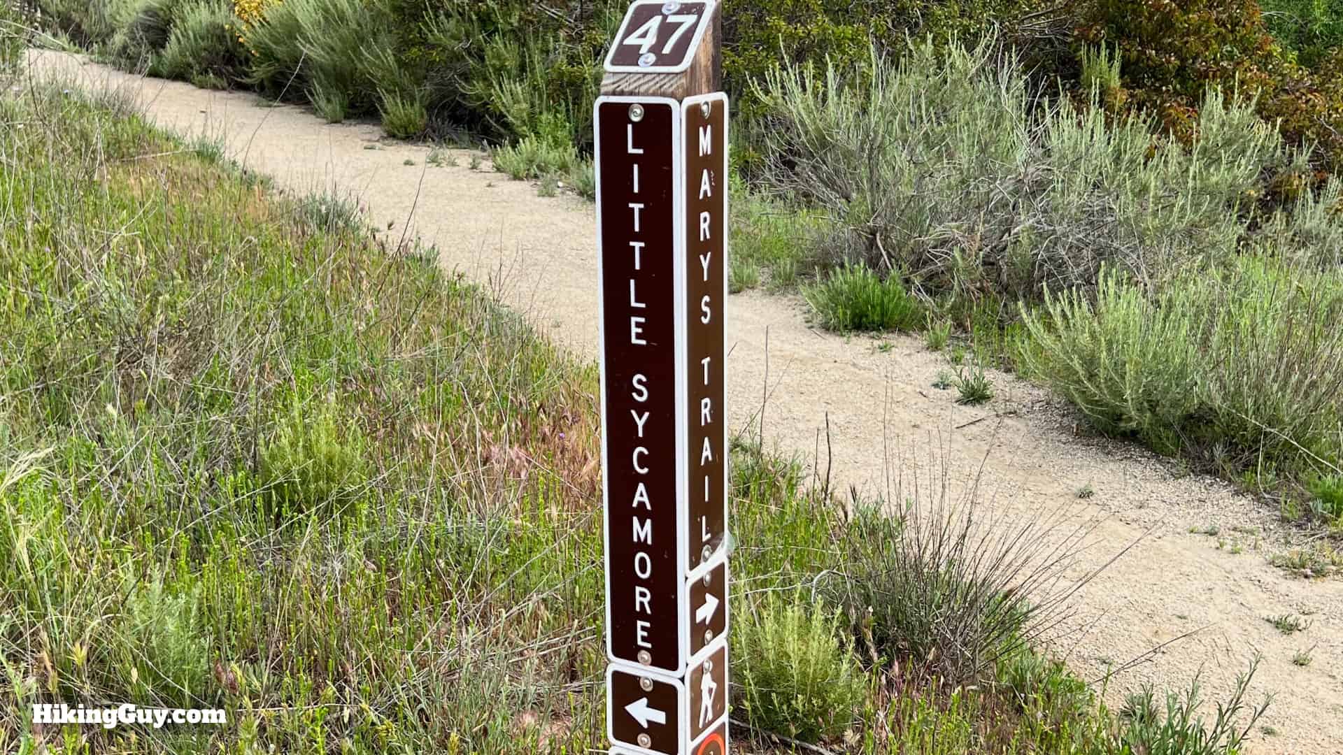 Laguna Coast Wilderness Hike Directions 12