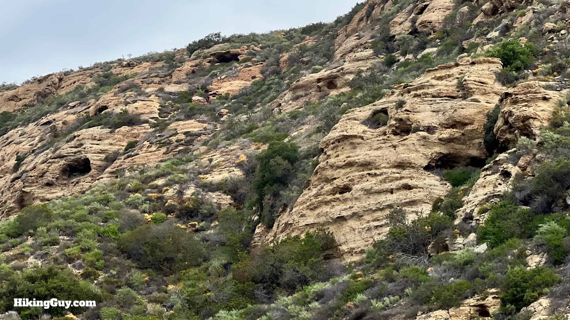 Laguna Coast Wilderness Hike Directions 15