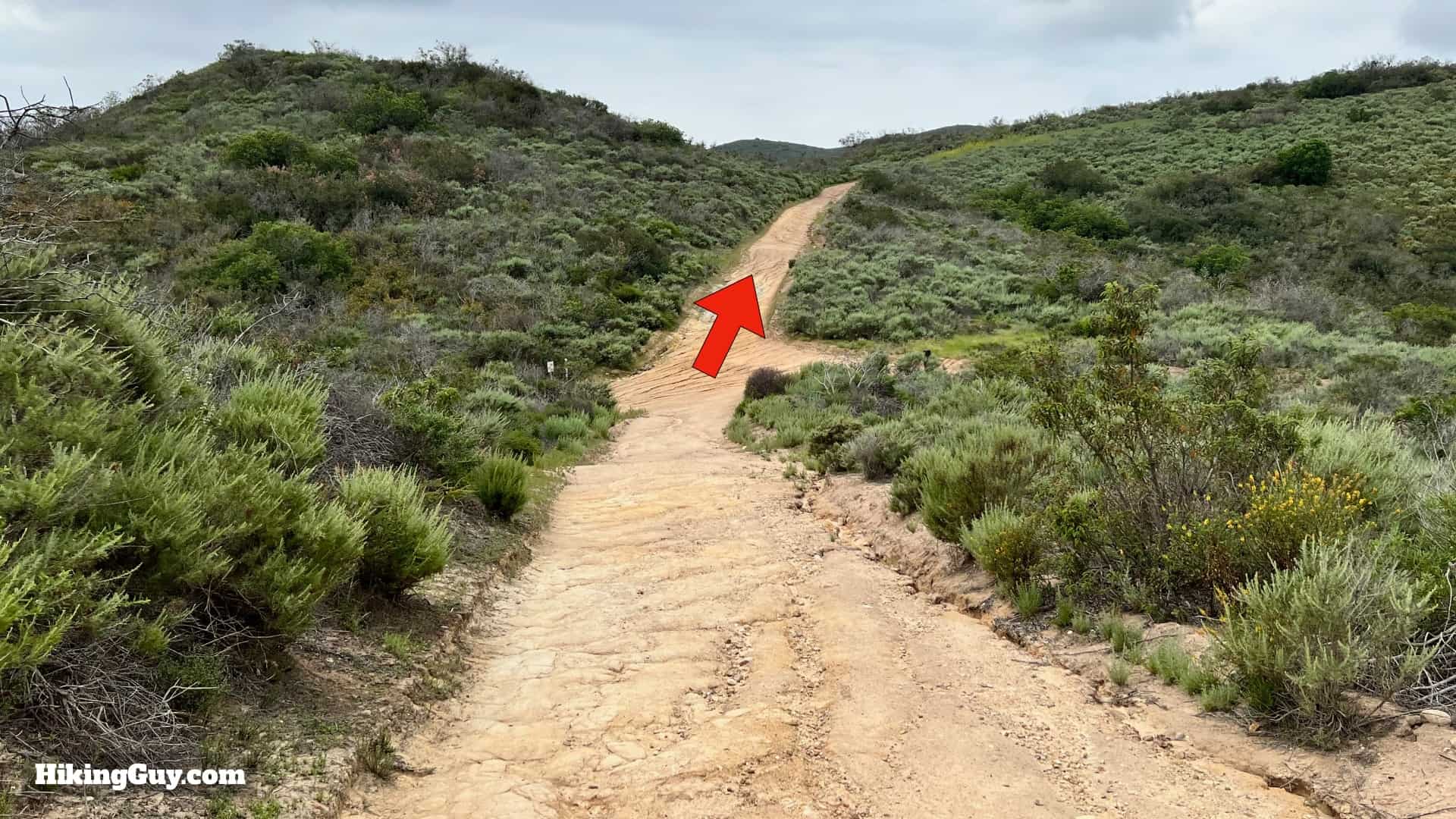 Laguna Coast Wilderness Hike Directions 22